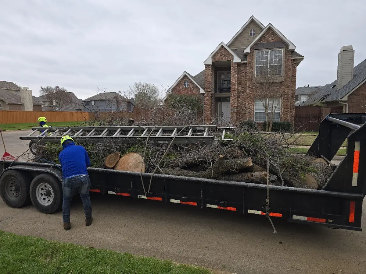 Expert Tree Removal with proper safety equipment in Brandy Station